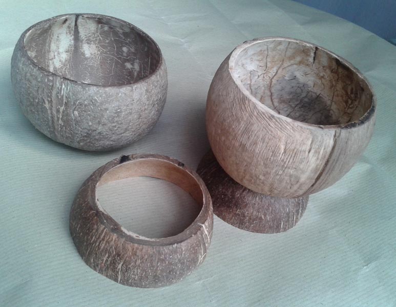 Coconut Shells Products