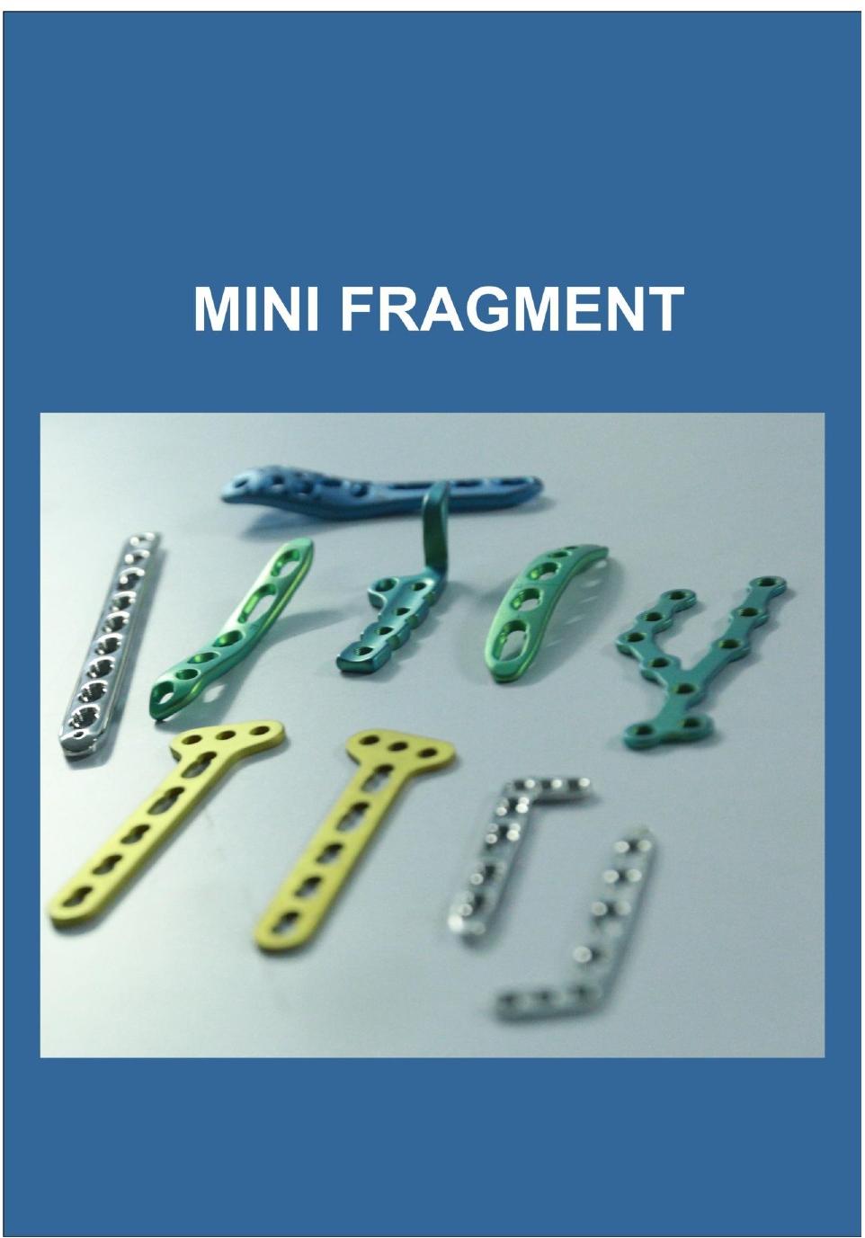 Stainless Steel Mini Fragment
