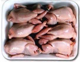 Exotic Quail Meat Manufacturer & Exporters from, India | ID - 1706659