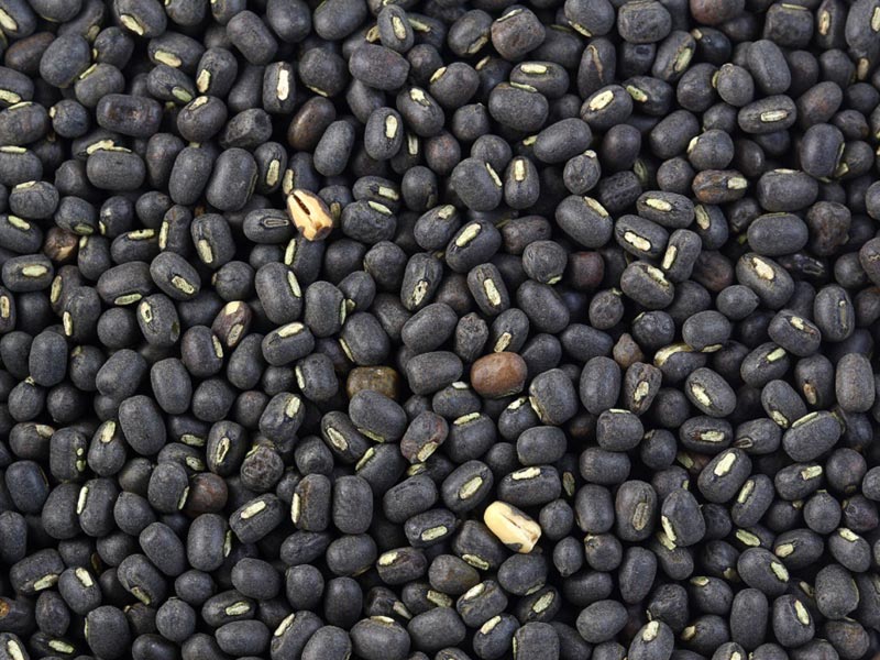 black urad dal