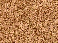 yellow millet