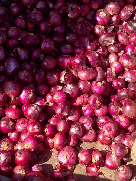 red onion