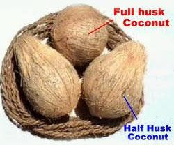 coconut