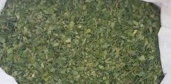 Common Dried Moringa Leaves, for Cosmetics, Medicine, Color : Dark Green