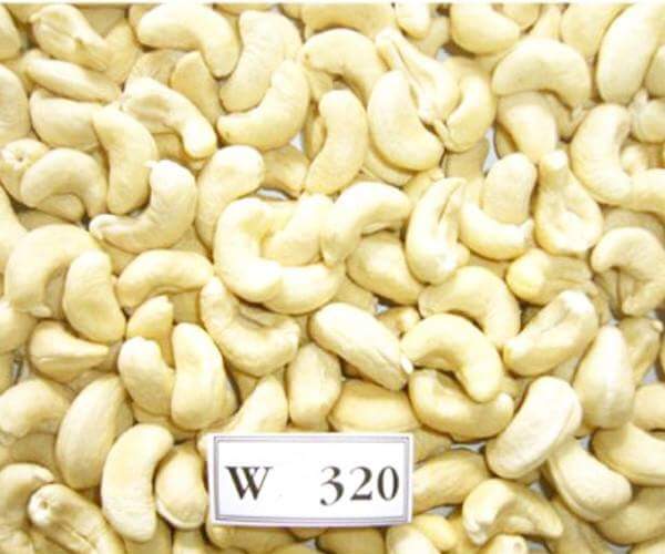 W-320 Cashew Nuts, for Snacks, Sweets, Packaging Type : Pouch, Pp Bag, Sachet Bag