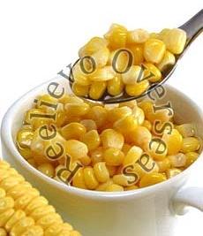 yellow maize