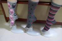 Lady Socks(6)
