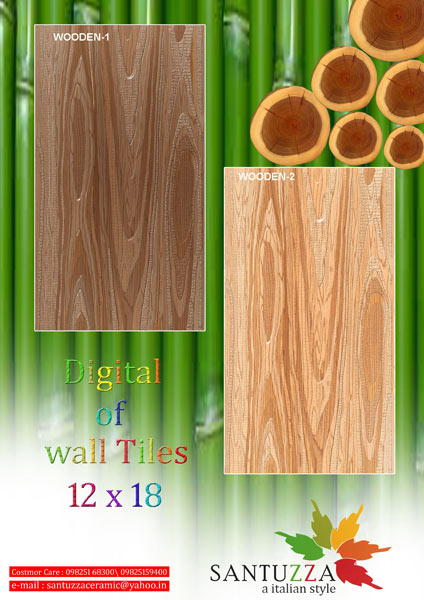 Digital Print Ceramic Wall Tiles