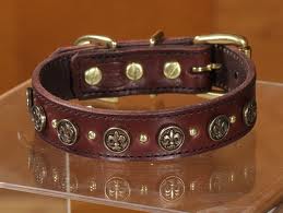 dog collars