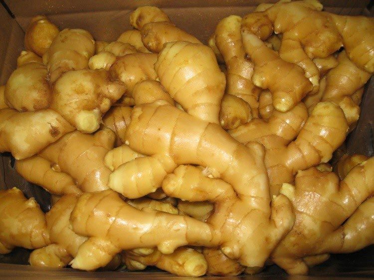 fresh ginger