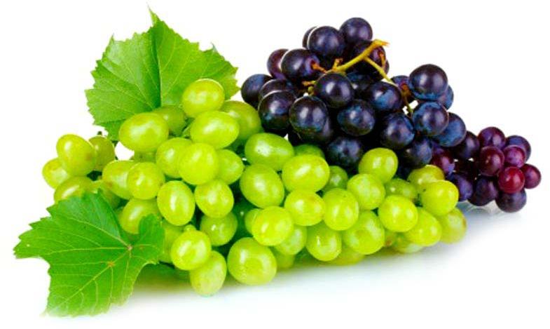 fresh grapes