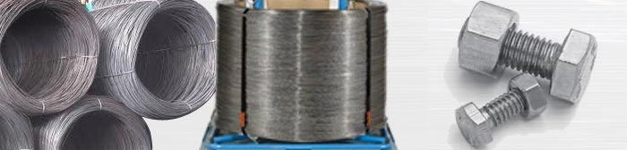 Stainless Steel Wires - Cold Heading Quality