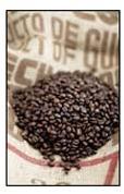 Espresso Coffee Bean (022)