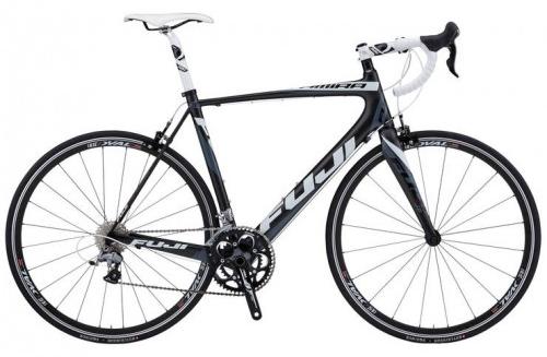 Fuji Altamira Road Bike