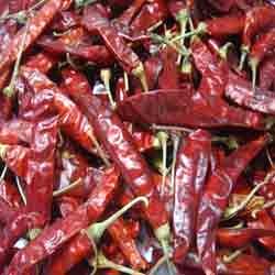 dried red chilli