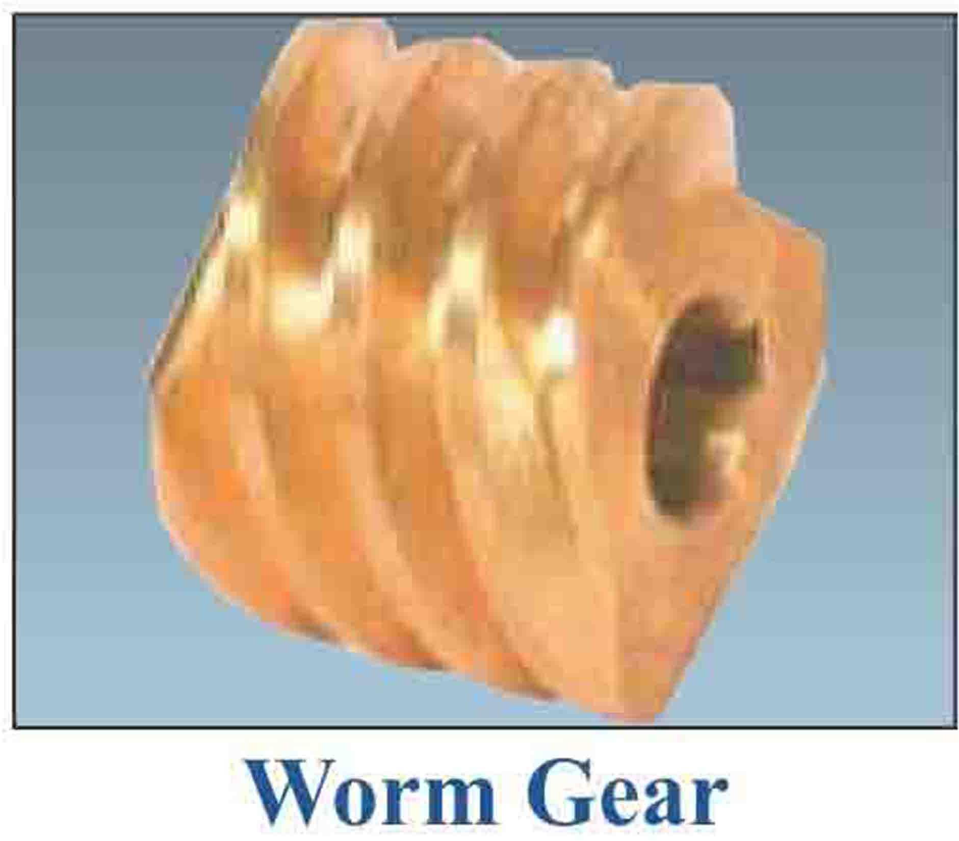 Worm Gears