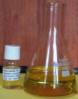 Pine Needle Oil