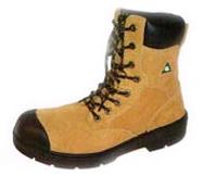 Safety Boot (b804)