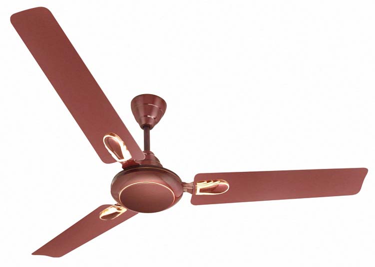 Indoor Ceiling Fans