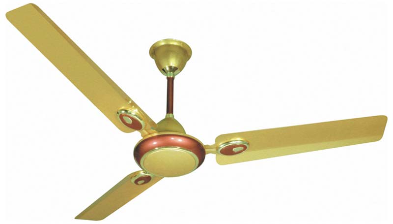 Modern Ceiling Fans