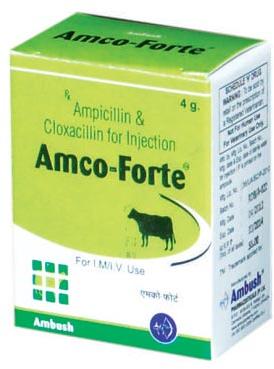Amco-Forte Injection