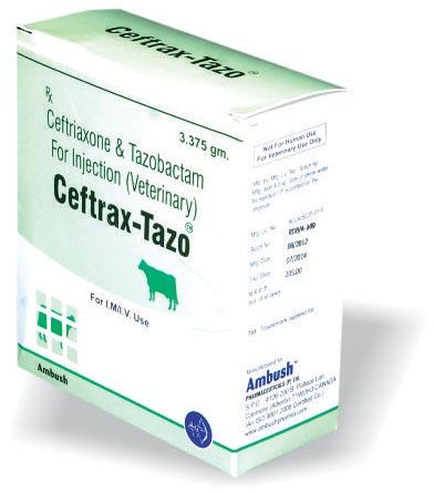 Ceftrax-Tazo Injection