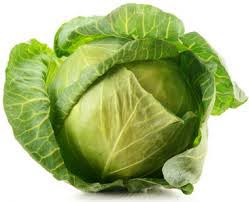 fresh cabbage