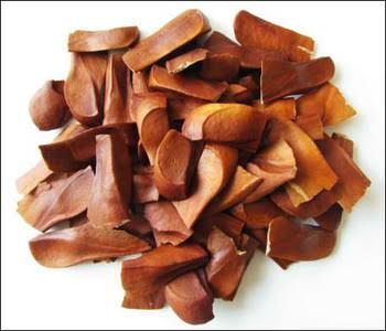 Mahogany seeds, Packaging Type : 1-50