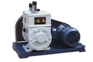 2wx- A Series Belt Drive Rotary Vane High Vacuum Pump