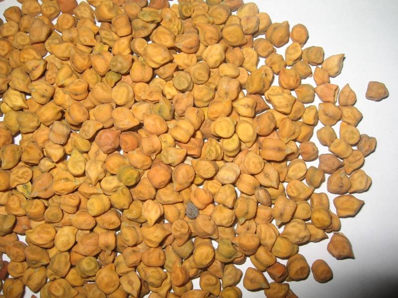 Desi Chickpeas & Agro Products Exporter Zepana Trading Plc, ETHIOPIA