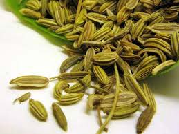 Green Fennel Seeds