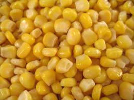 Organic frozen sweet corn, for Bakery, Cooking, Snacks, etc, Color : Yellow