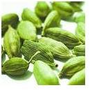 cardamom