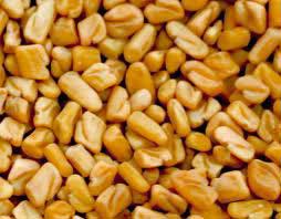 Fenugreek Seeds