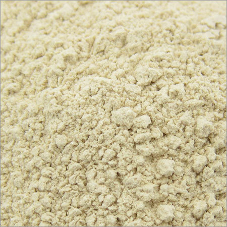 dehydrated garlic powder