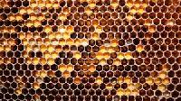 Honeycomb