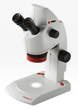 Digital Stereo Microscopes