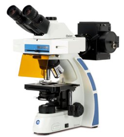 Fluorescence Microscope