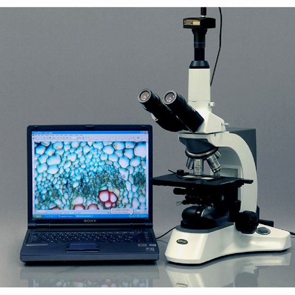 Microscope Camera