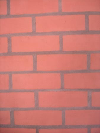 Wire Cut Bricks