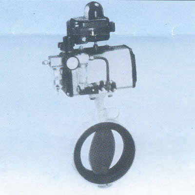 Pneumatic Butterfly Valve