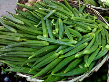 Conventional Fresh Okra (lady Finger), Color : green