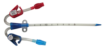 Curved Dual Lumen Catheter