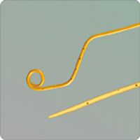 Percutaneous Transhepatic Cholangiography