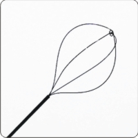 Trapper No Tip Nitinol Stone Basket