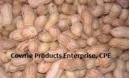 Shelled Peanuts