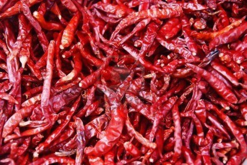 red chilly