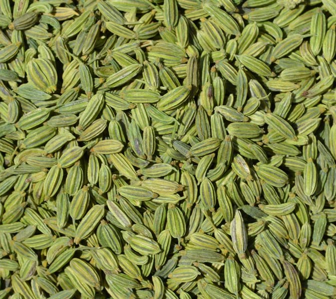 fennel seeds