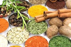 Indian Spices