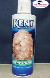 Kent Marine Coral Accel